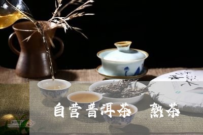 自营普洱茶 熟茶/2023041063927